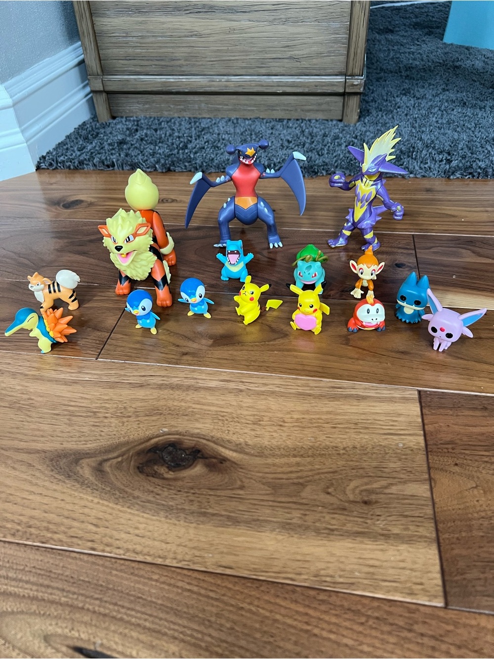 Pokémon at